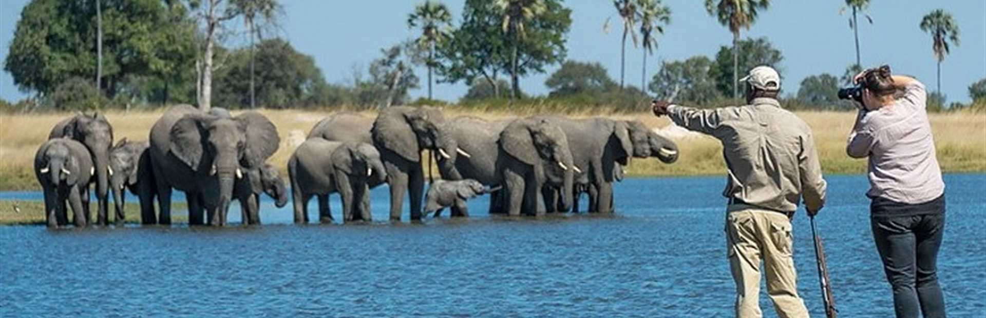 Zimbabwe - Walking Safari